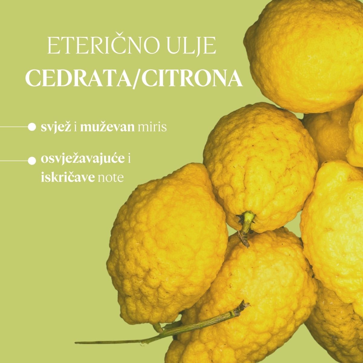 Gel za tuširanje i kosu Eau De Cedrat