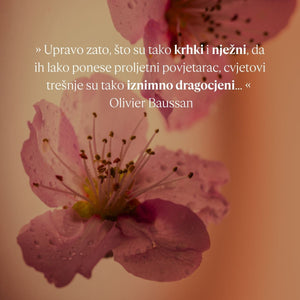 Gel za tuširanje i kupku Trešnjin cvijet