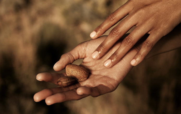 AMANDE SUBLIME kolekcija L’Occitane badem