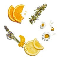 ING-Gentle-Balance-Cocktail Featured Ingredient - L'Occitane