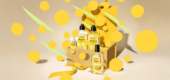 Mimosa Verbena kolekcija, savršen poklon iz L’Occitanea

