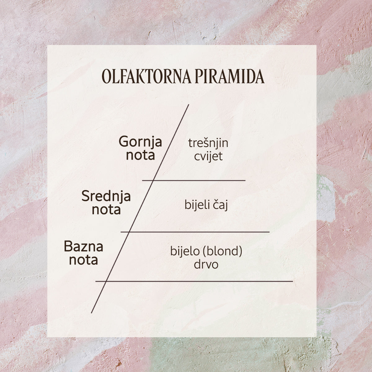 Eau de Toilette Fleurs de Cerisier Thé Blanc, 50 ml