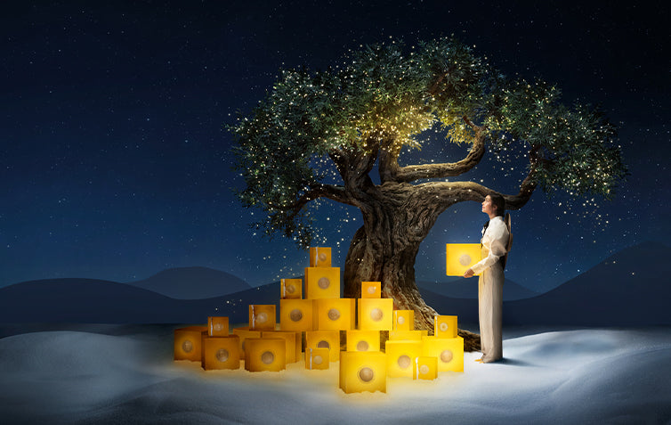 L’OCCITANE BLAGDANI – ulovite čaroliju blagdana uz L’Occitane 