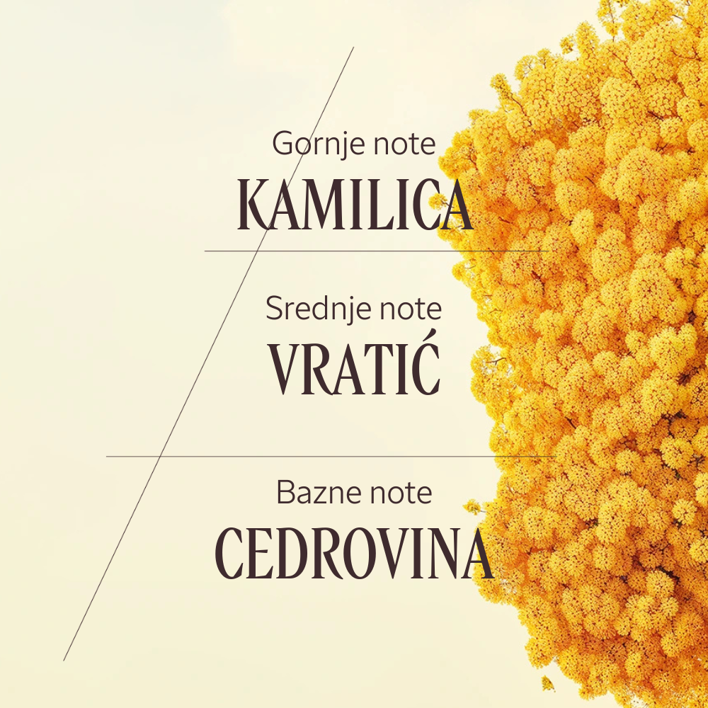 Eau de Parfum Barbotine