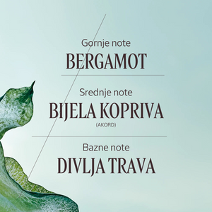 Eau de Parfum Ortie Blanche