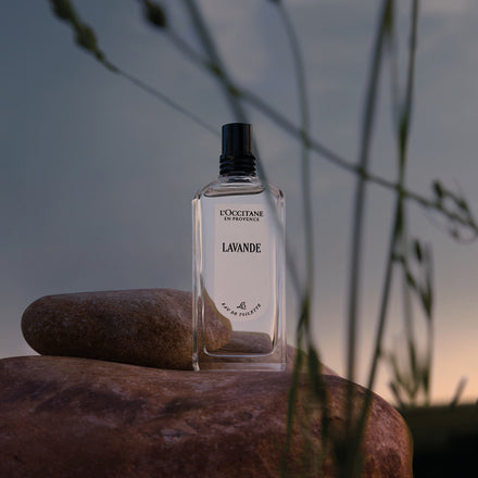Lavande kolekcija L’Occitane