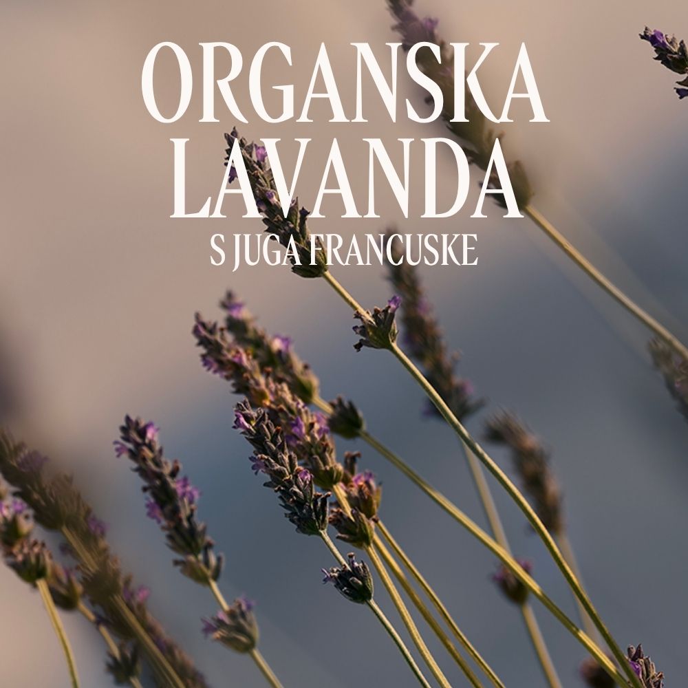 Eau de Toilette Lavande