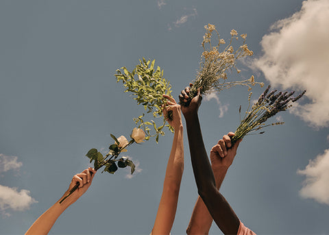 L’OCCITANE - SMILJE, LAVANDA I LIMUN