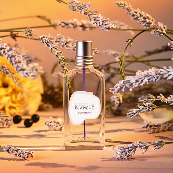 NOVI LJETNI MIRIS: LAVANDE BLANCHE