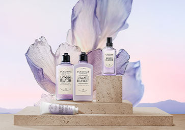 Kolekcija LAVANDE BLANCHE