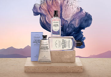 Kolekcija LAVANDE POIVRE NOIR