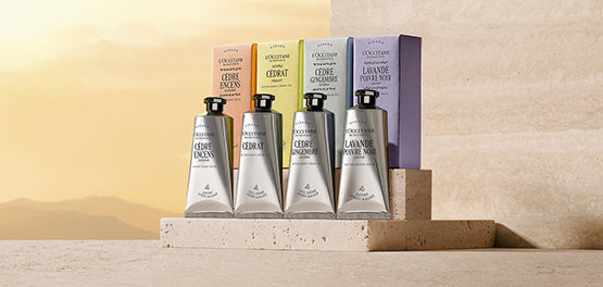 Movember – muška njega pokloni i promocije