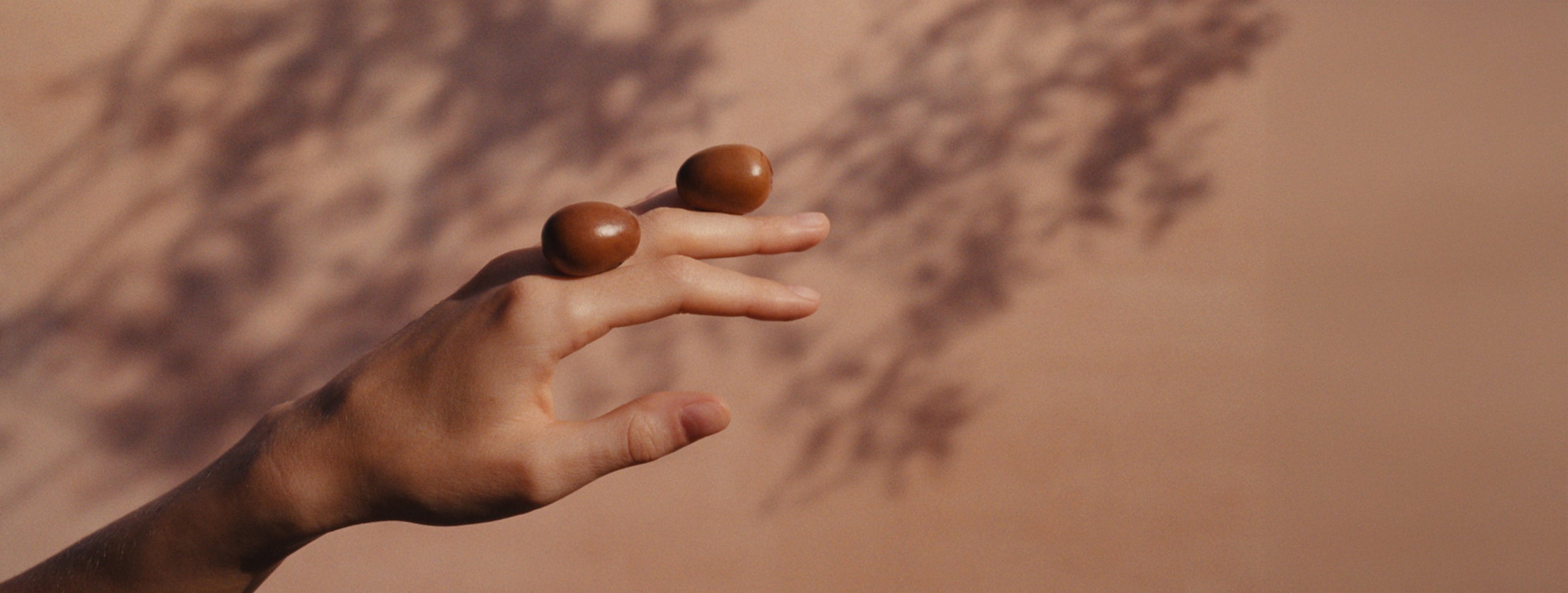 Zimska njega posebna L’Occitane ponuda