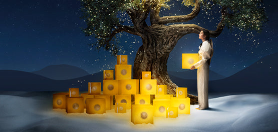 Zvjezdani završetak godine_posebna ponuda L’Occitane